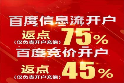 谷歌SEM与移动端优化：某APP的推广策略及效果